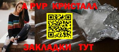 дживик Кингисепп