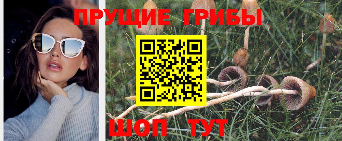Галлюциногенные грибы прущие грибы Шелехов