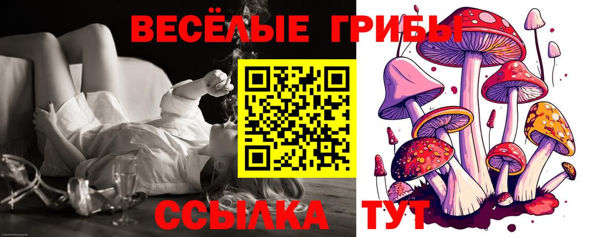 Шелехов  Псилоцибиновые грибы мицелий  Вход с VPN  Псилоцибиновые грибы MAGIC MUSHROOMS 